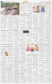 Main Edition 2025-07-30