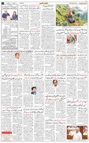 Main Edition 2025-08-01
