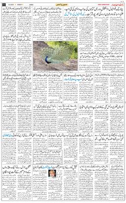 Jammu 2025-08-04