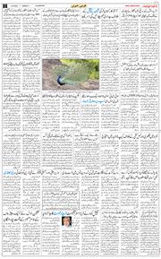Main Edition 2025-08-04