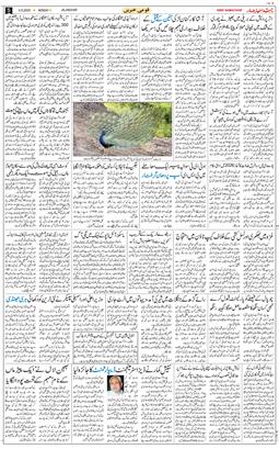 Main Edition 2025-08-04