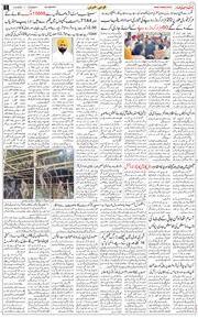 Main Edition 2025-09-02