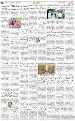 Chandigarh 2025-09-14
