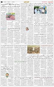 Main Edition 2025-09-14
