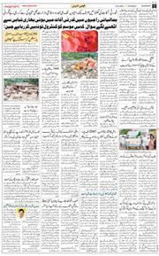 Main Edition 2025-09-20