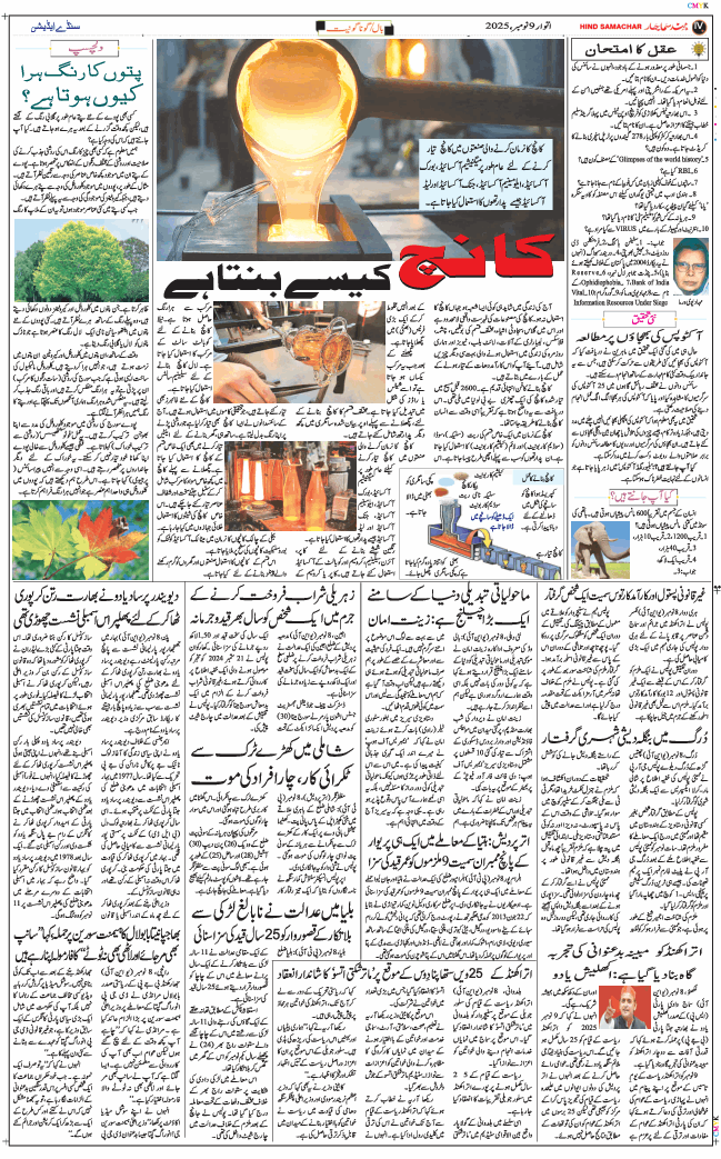 Main Edition 2025-11-09