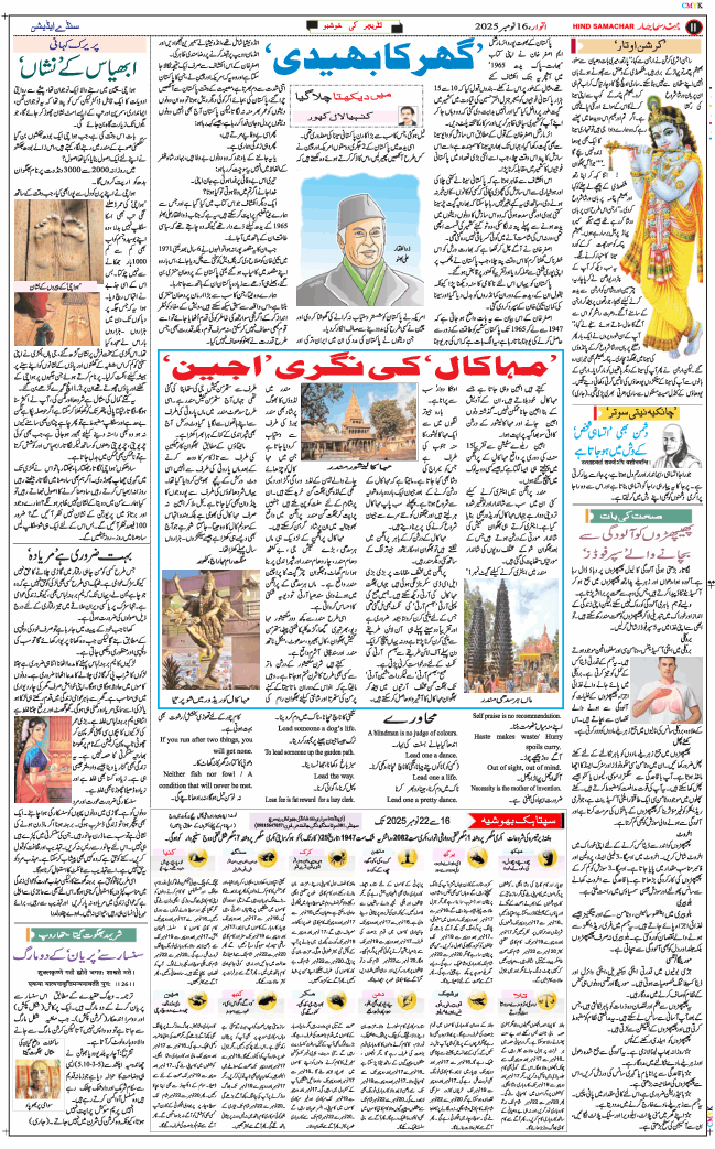 Main Edition 2025-11-16