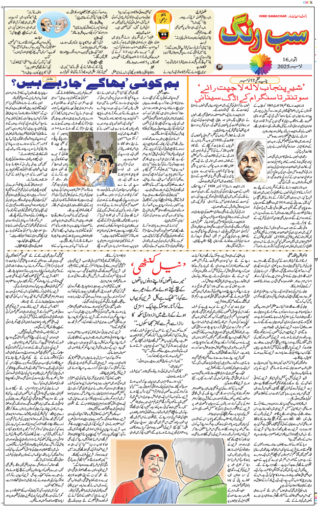 Main Edition 2025-11-16