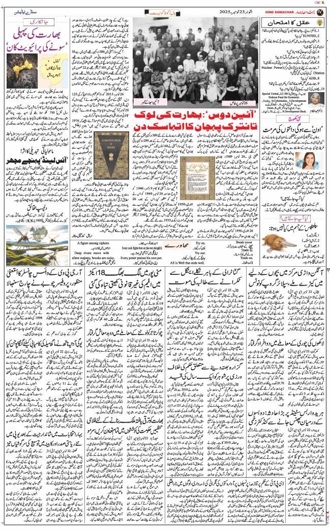Main Edition 2025-11-23