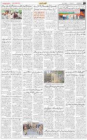 Main Edition 2025-11-25