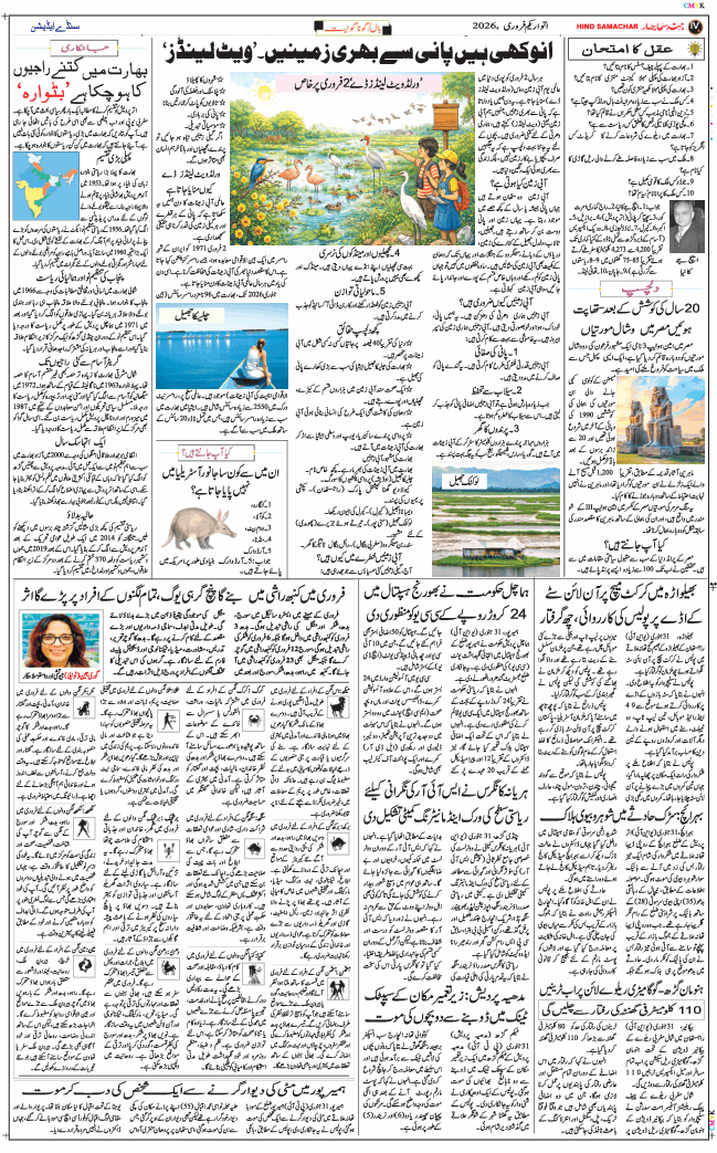 Main Edition 2026-02-01