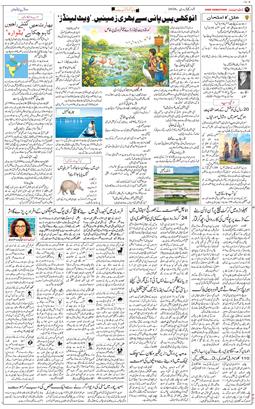 Main Edition 2026-02-01