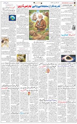 Main Edition 2026-02-08