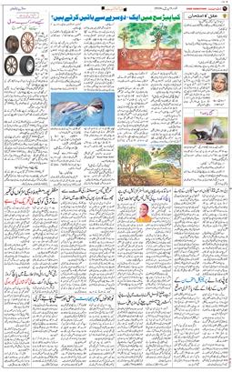 Main Edition 2026-04-05