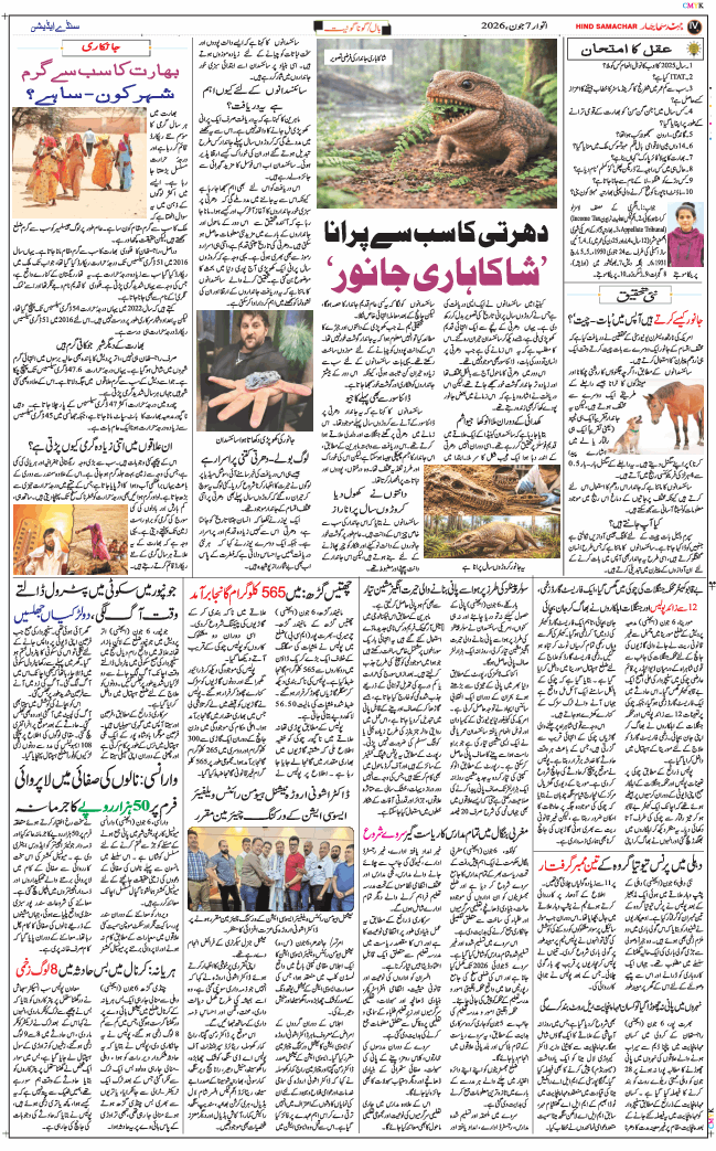 Main Edition 2026-06-07