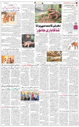 Main Edition 2026-06-07